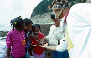 Hostel Adventure Program at Montara Beach