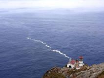 point reyes lighthouse